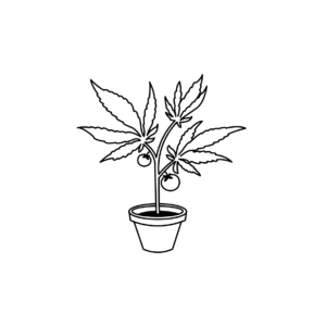 A tomato plant with weed leafs, drawn in a comic look